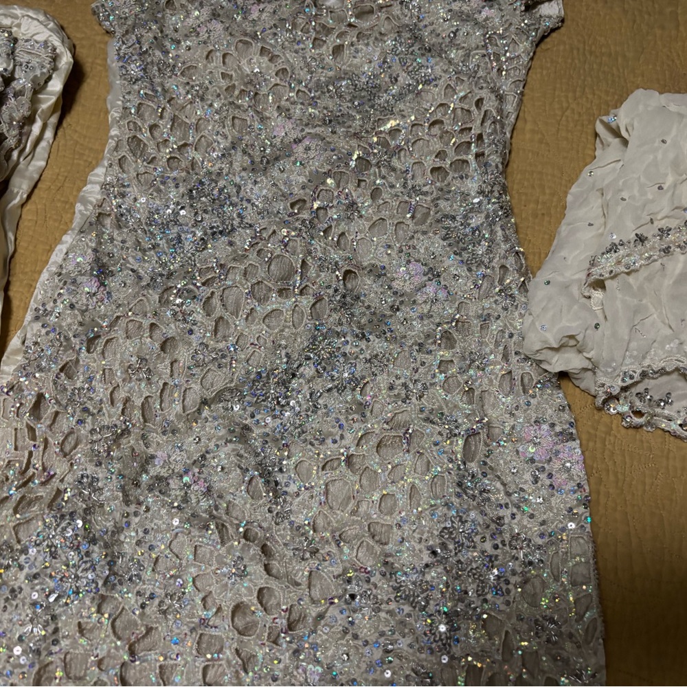 Elegant Sequin Lace Dress